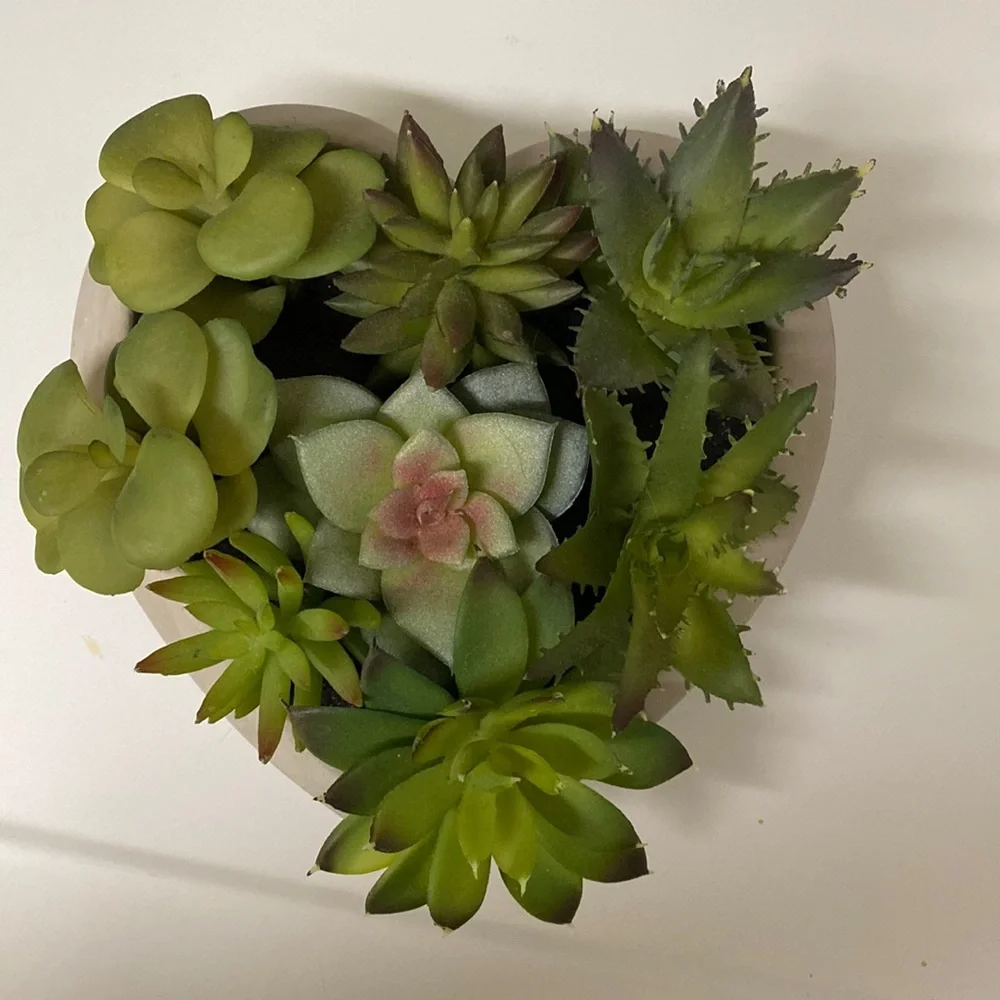 Heart shaped artificial suculent